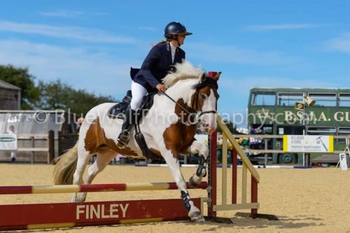 HOYS26-251