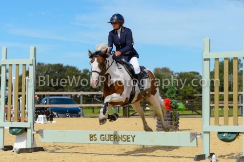 HOYS26-252