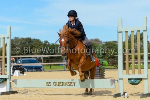 HOYS26-253