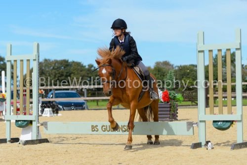 HOYS26-254