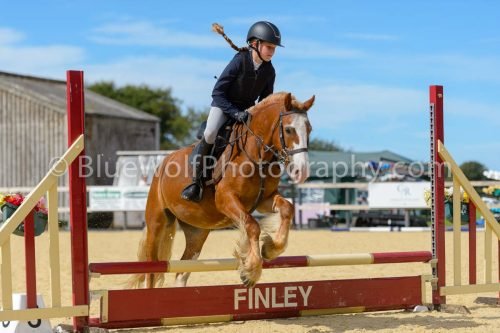HOYS26-255