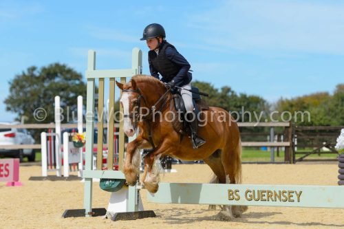 HOYS26-256