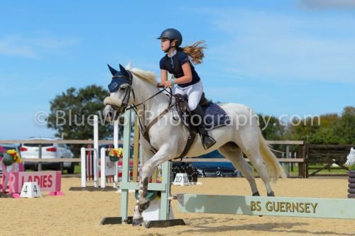 HOYS26-258