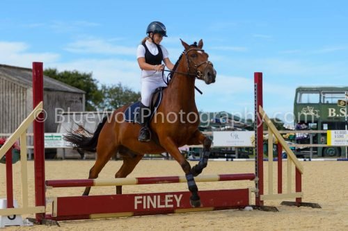 HOYS26-259
