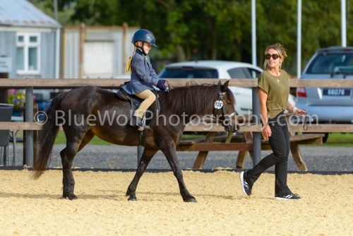 HOYS26-10