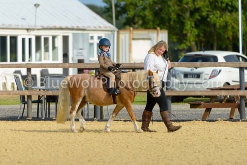 HOYS26-11