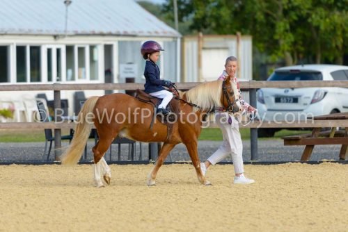 HOYS26-12