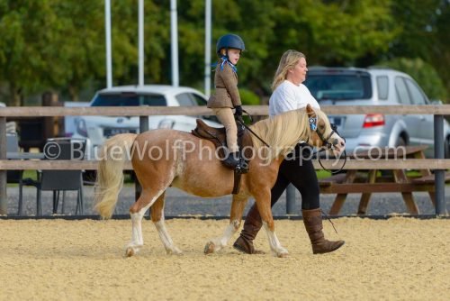 HOYS26-13