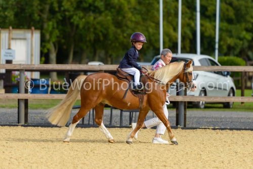 HOYS26-14