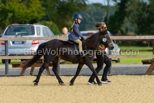 HOYS26-15