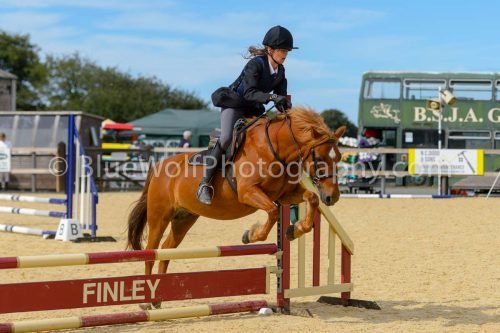 HOYS26-262