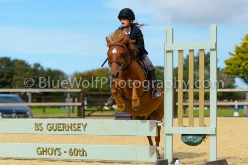 HOYS26-263