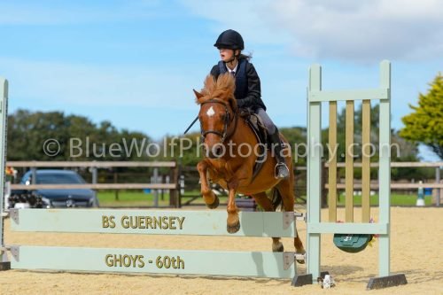 HOYS26-264