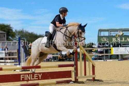 HOYS26-265