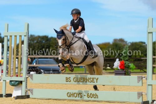 HOYS26-266