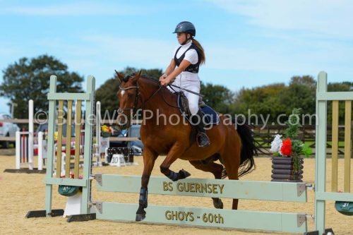 HOYS26-267
