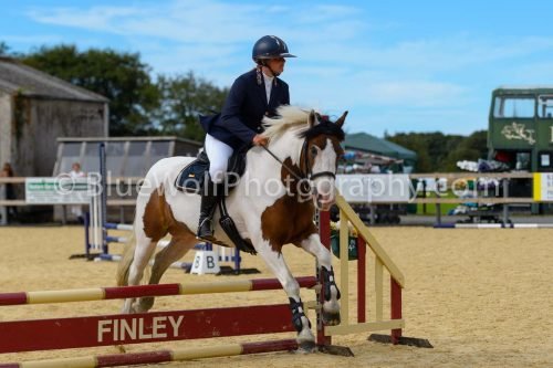 HOYS26-268