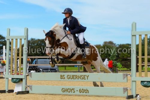 HOYS26-269