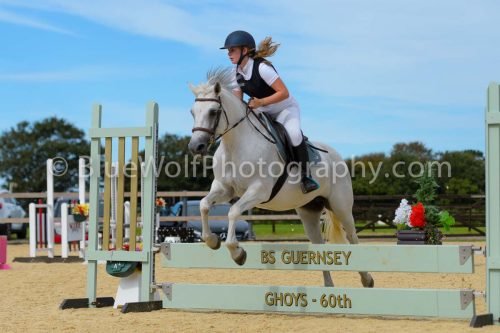 HOYS26-271