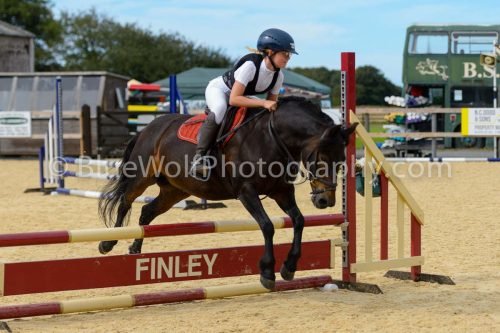HOYS26-272