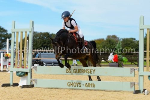 HOYS26-273
