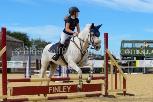 HOYS26-274