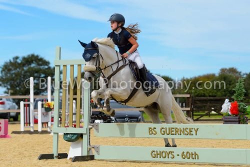 HOYS26-275