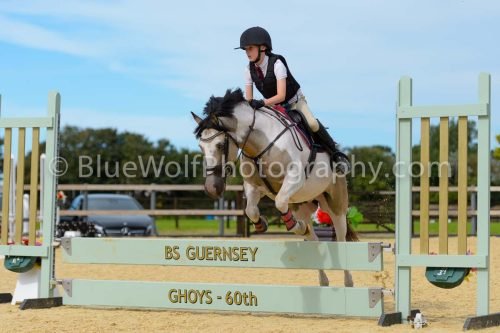 HOYS26-277