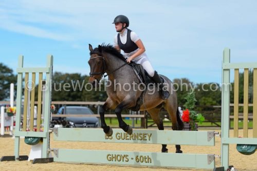 HOYS26-279