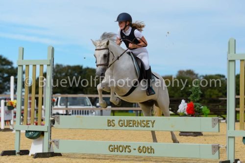 HOYS26-282