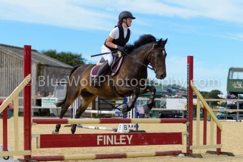 HOYS26-283