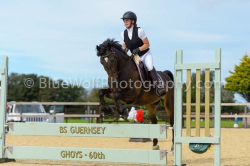 HOYS26-284
