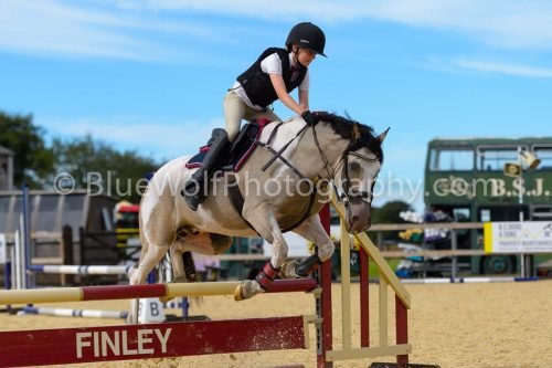 HOYS26-285