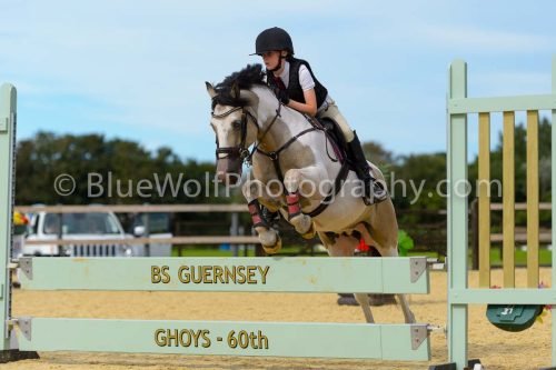 HOYS26-286