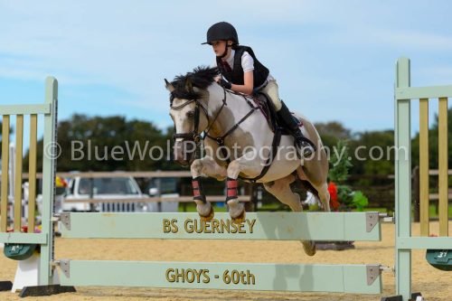 HOYS26-287