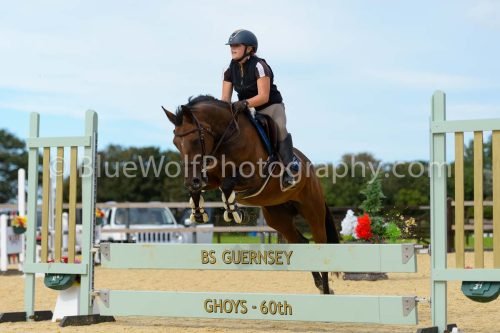 HOYS26-289