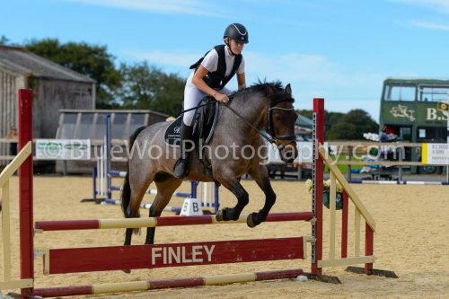 HOYS26-290