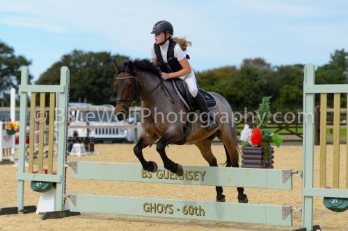 HOYS26-291