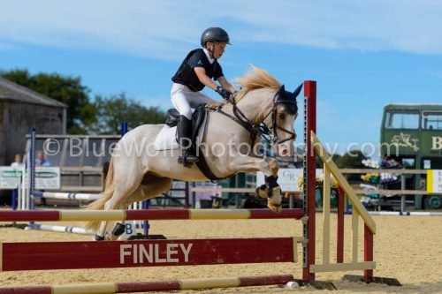 HOYS26-293