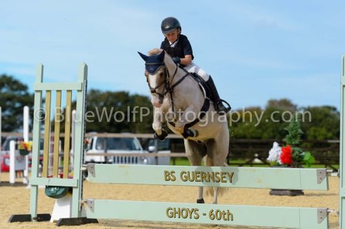 HOYS26-294