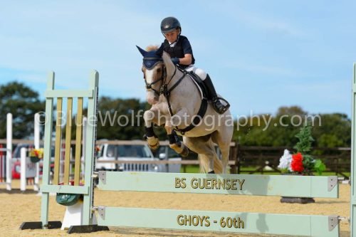 HOYS26-295
