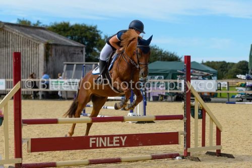 HOYS26-297