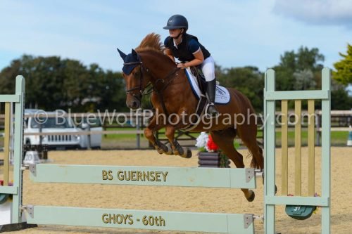 HOYS26-298