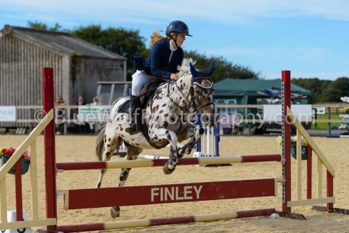 HOYS26-299