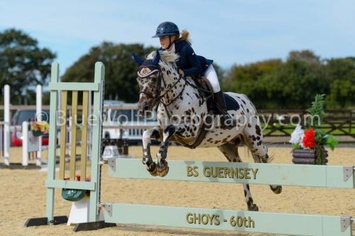 HOYS26-300