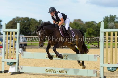 HOYS26-302
