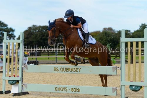 HOYS26-305