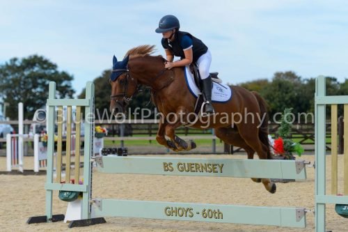 HOYS26-306