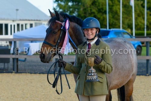 HOYS26-312