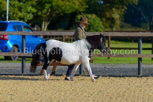 HOYS26-318